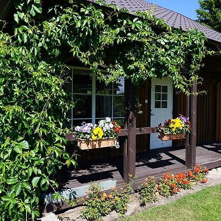 Kelluka Holiday House Pärispea Kültér fotó