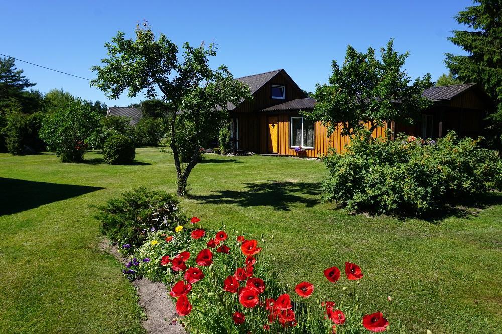 Kelluka Holiday House Pärispea Kültér fotó