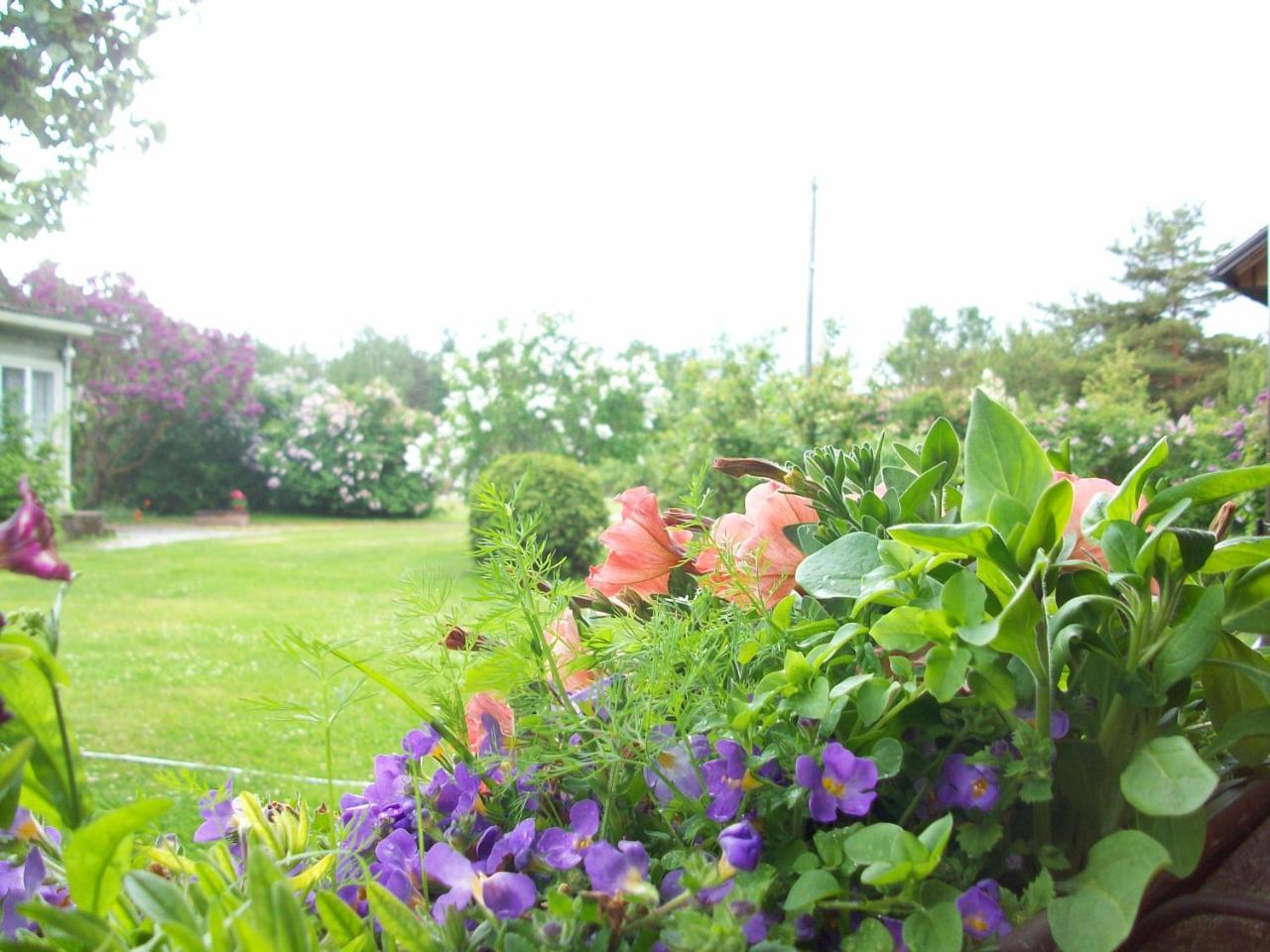 Kelluka Holiday House Pärispea Kültér fotó